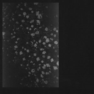 Motorama (3) – Poverty