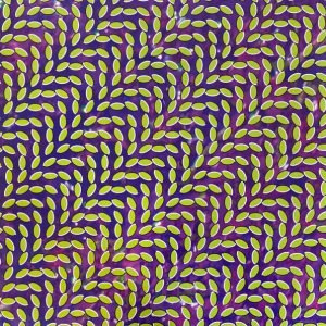 Animal Collective – Merriweather Post Pavilion